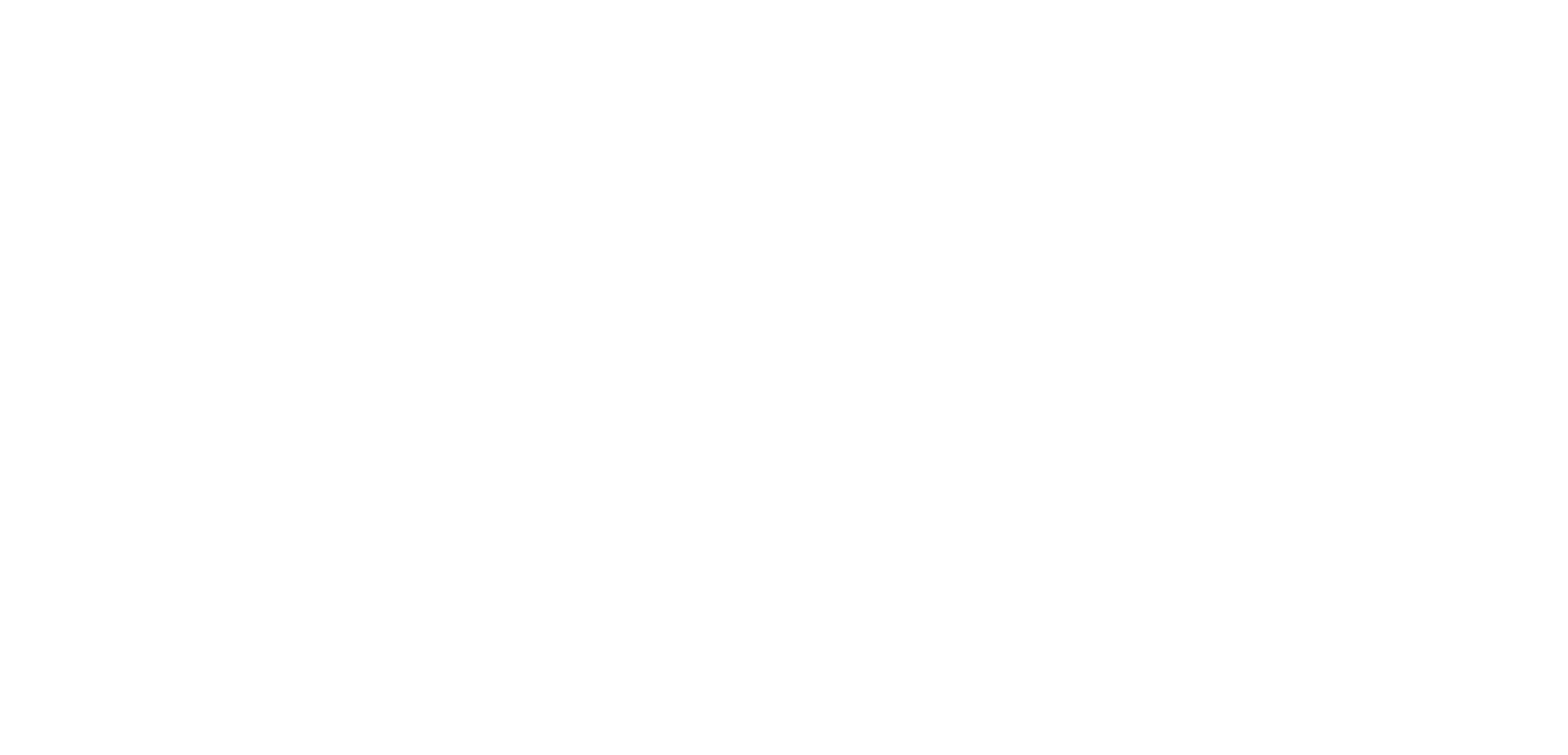 krishva overseas 9 2
